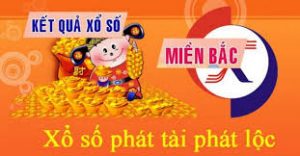 Dự đoán lô đẹp nhất 8/3